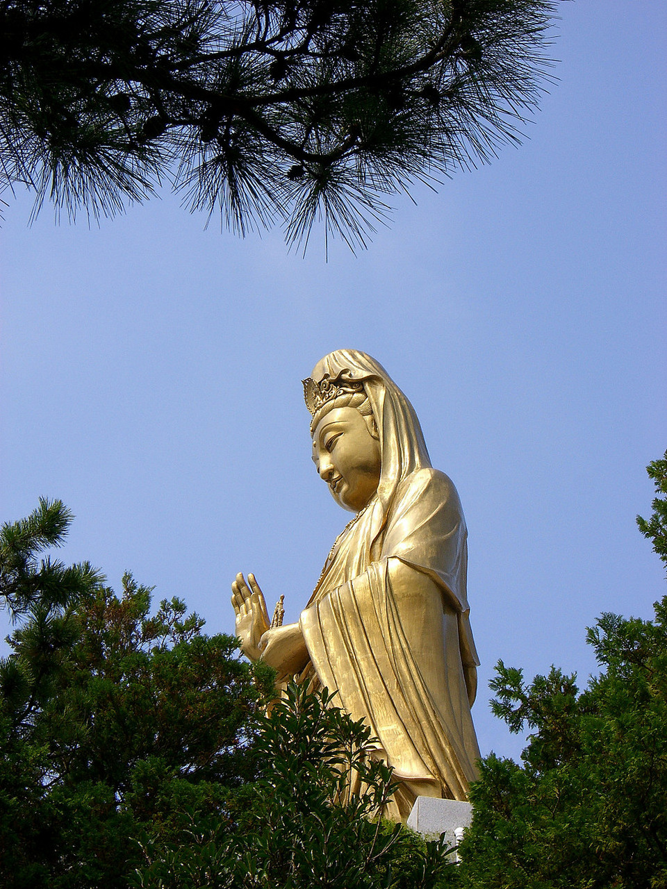 南海观音像 莲花座图片