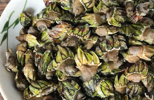 佛手贝又叫做龟足,是一种长得像乌龟脚的高级海鲜,属于天然资源,一般2