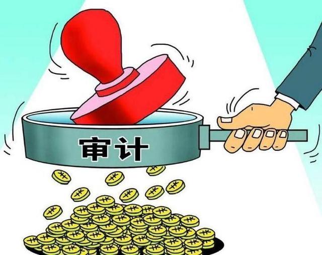 审计报告：企业发展的护航者