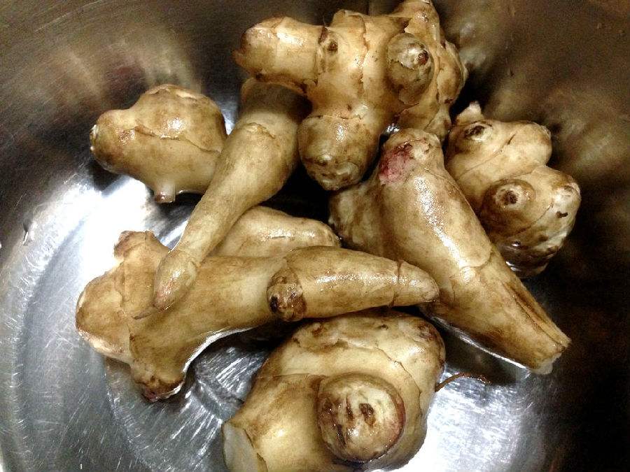 在农村,有一种土姜叫洋姜,不仅清甜好吃,还能用来治沙固土