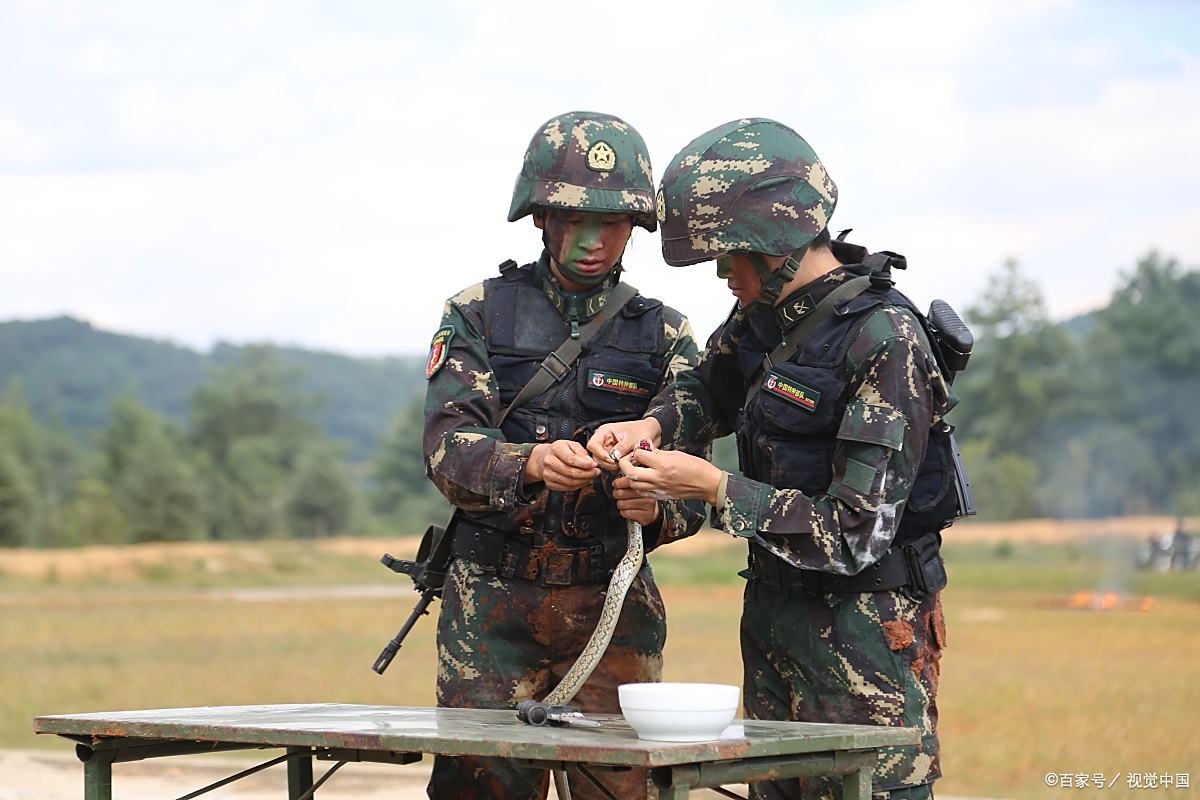 胶州女兵报名网站查询_全国征兵网女兵 胶州女兵报名网站查询_全国征兵网女兵