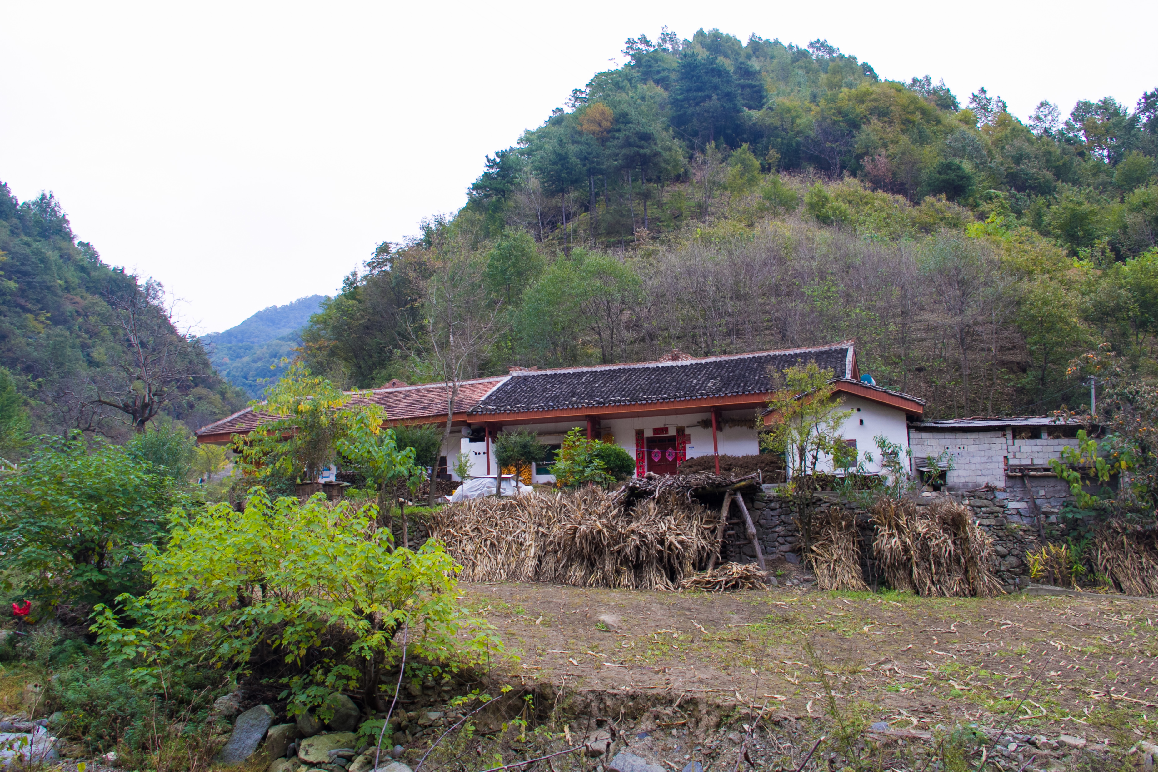 行走秦嶺:按照山裡的標準,這棟老房算不算