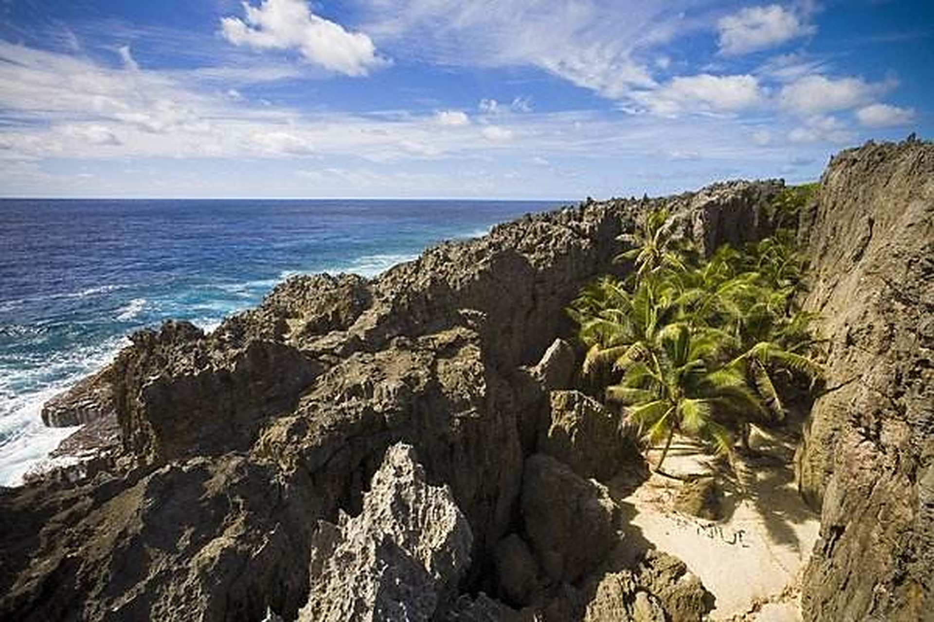 春游记 晒晒镜头里的春天#纽埃岛:简称纽埃,位于太平洋中南部的一个