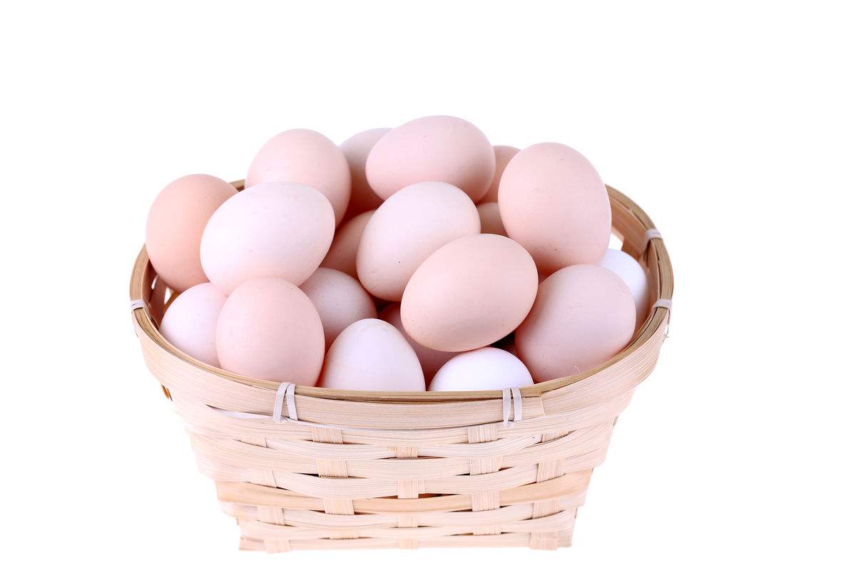 散养鸡蛋和饲料鸡蛋 - 2020年最新商品信息聚合专区 - 百度爱采购