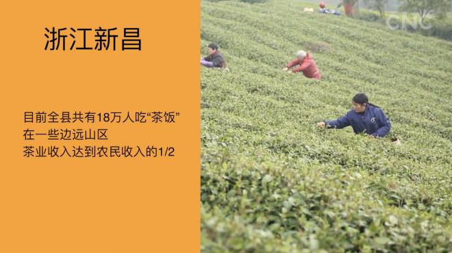 [图]走进县区｜浙江新昌：茶乡茶香产业兴旺