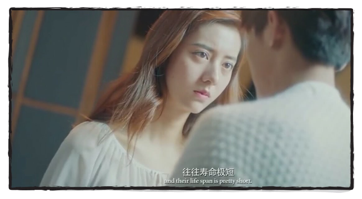 灵契真人版中被黑的最惨的人,是一直心地善良的她