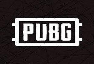 国外解说:pubg应该由战队自己决定打法,而不是积分赛制