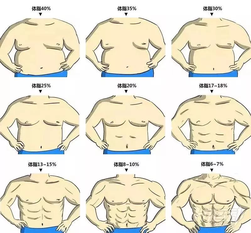 2019,鲨鱼线才是猛男的最新标准