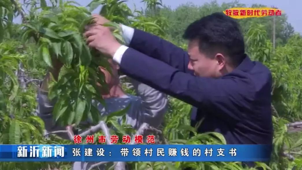 徐州劳模张建设:带领村民赚钱的村支书
