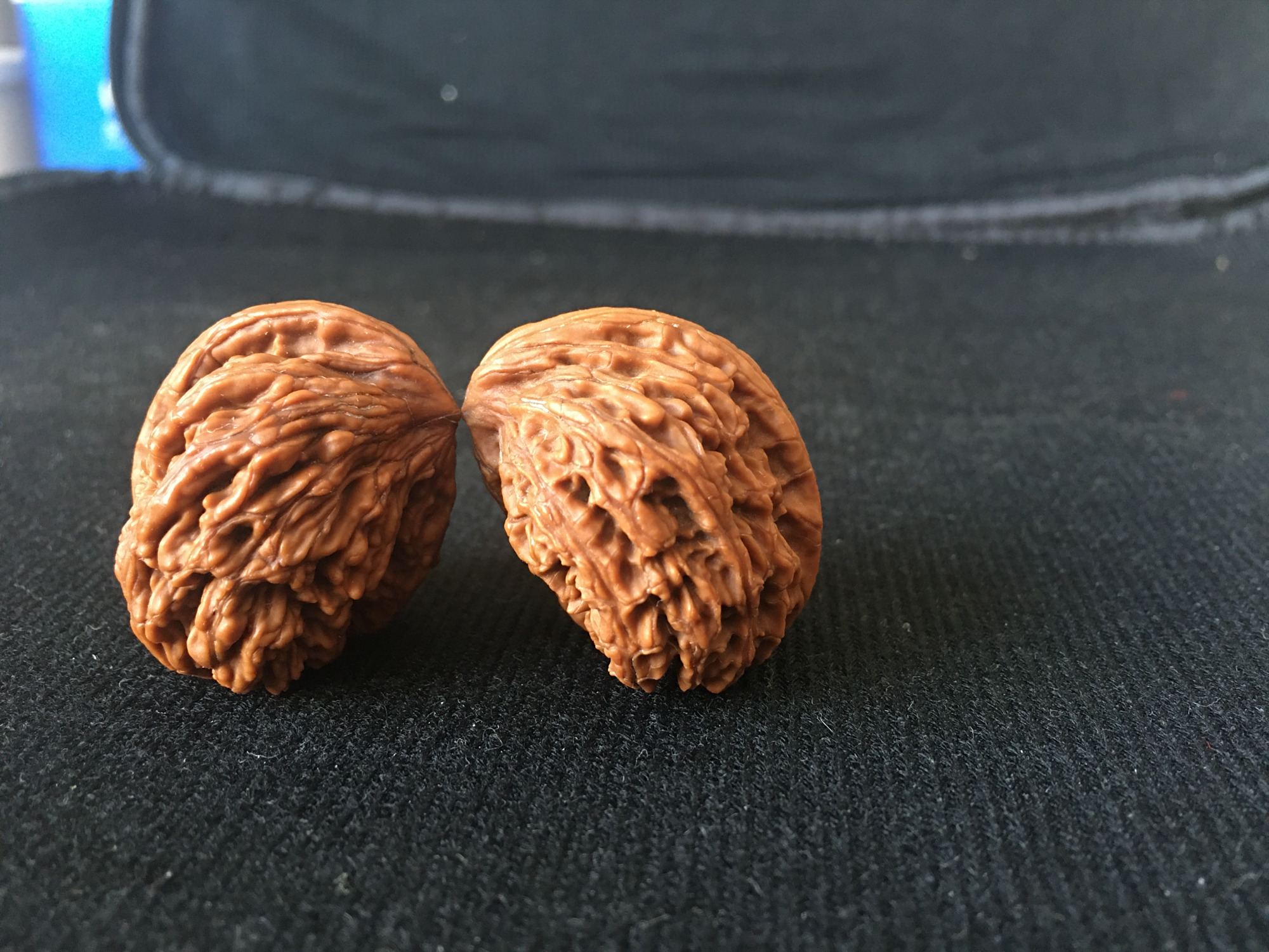 「文玩核动力」关于"异形文玩核桃怎么配对儿"的一点想法?