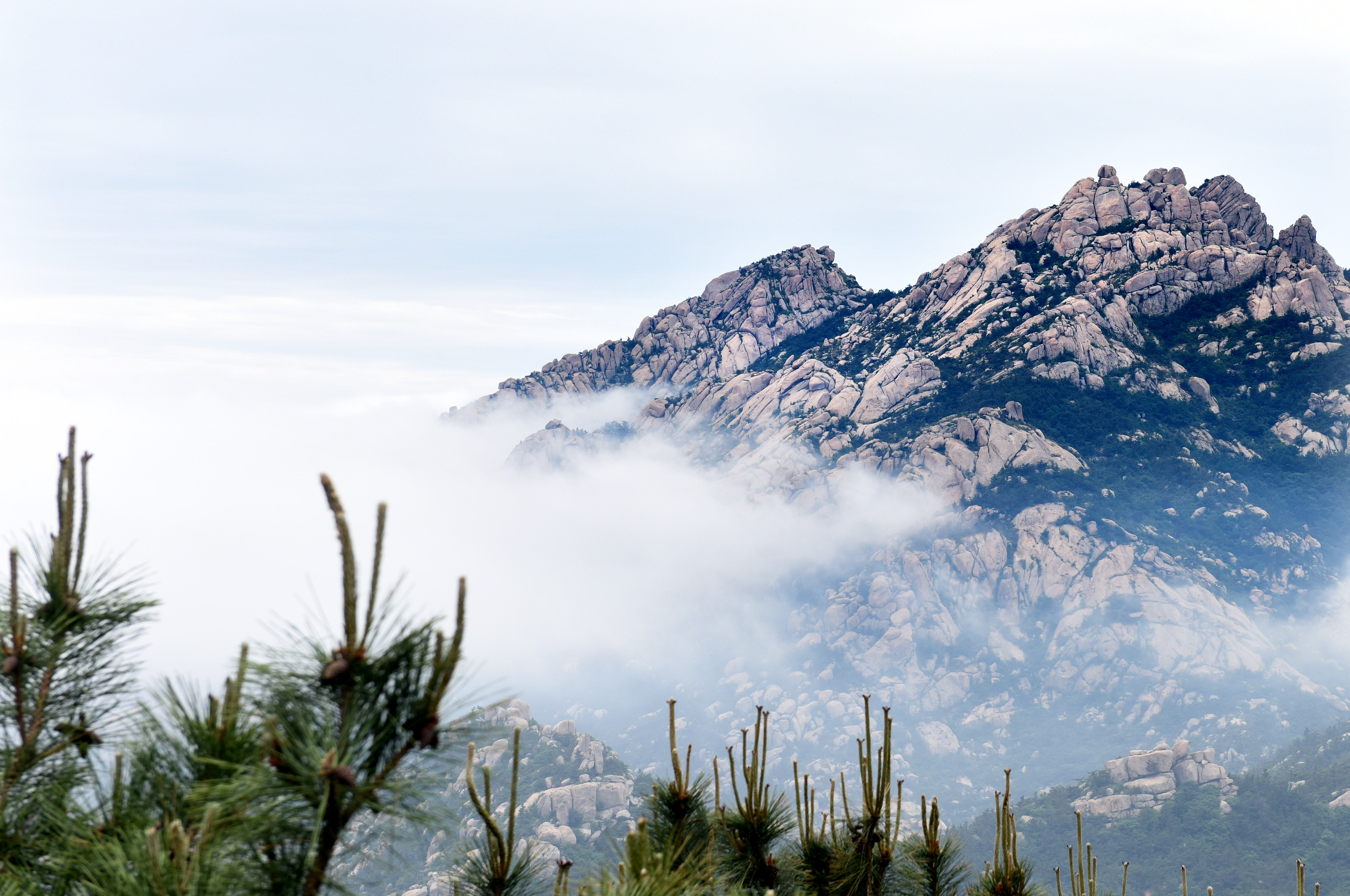 生态中国·海岱齐鲁钟神秀(4)
