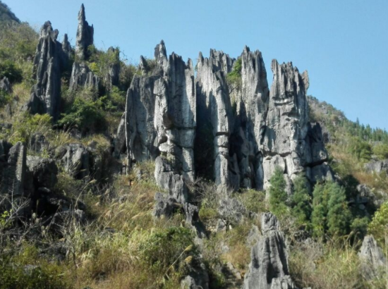 "泥凼石林"奇峰林立,怪石嵯峨,妙景奇观是大自然的馈赠