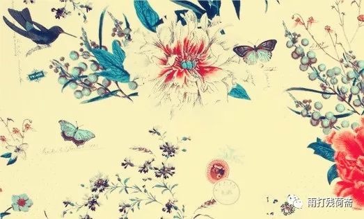 书评《天霜河白》(倾泠月)