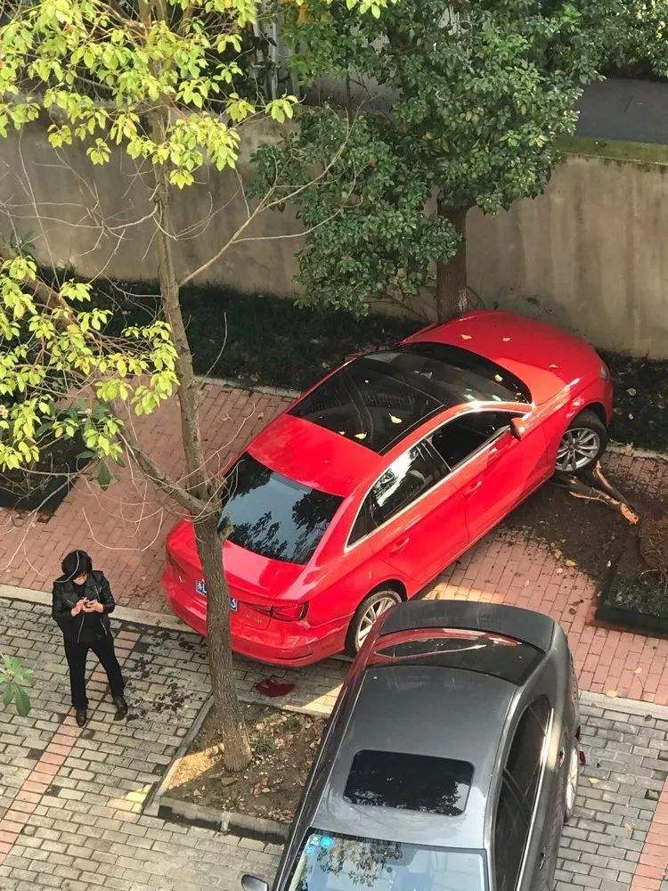 看看女司机停车都能把车停在什么地方!老司机都办不到!