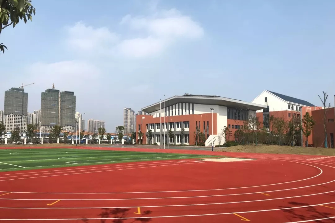 西雅小学:操场,体育馆,综合楼,右侧远处是象鼻窝公园.