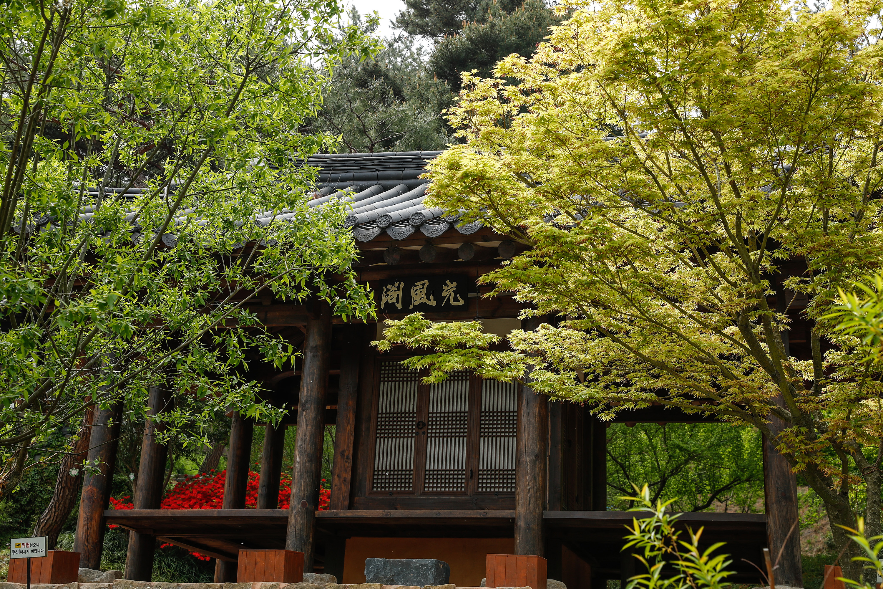 世界园林巡礼——韩国顺天湾国家园林(2)