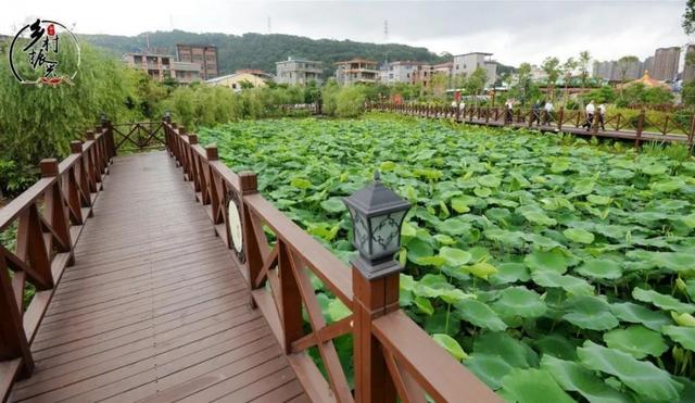 长乐区营前街道长安村:你若长安,便是幸福