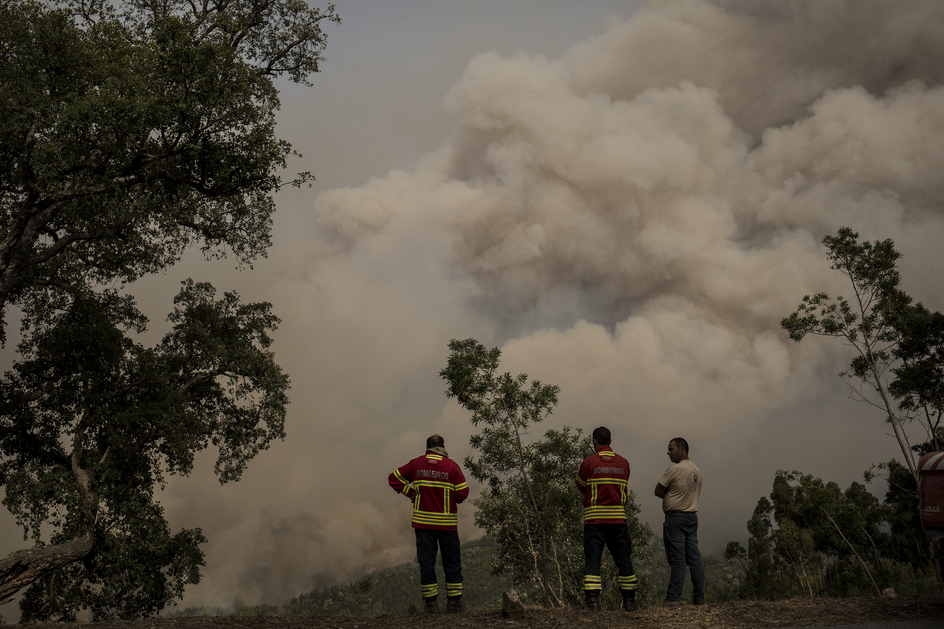 葡萄牙高温引发山火灾害(4)