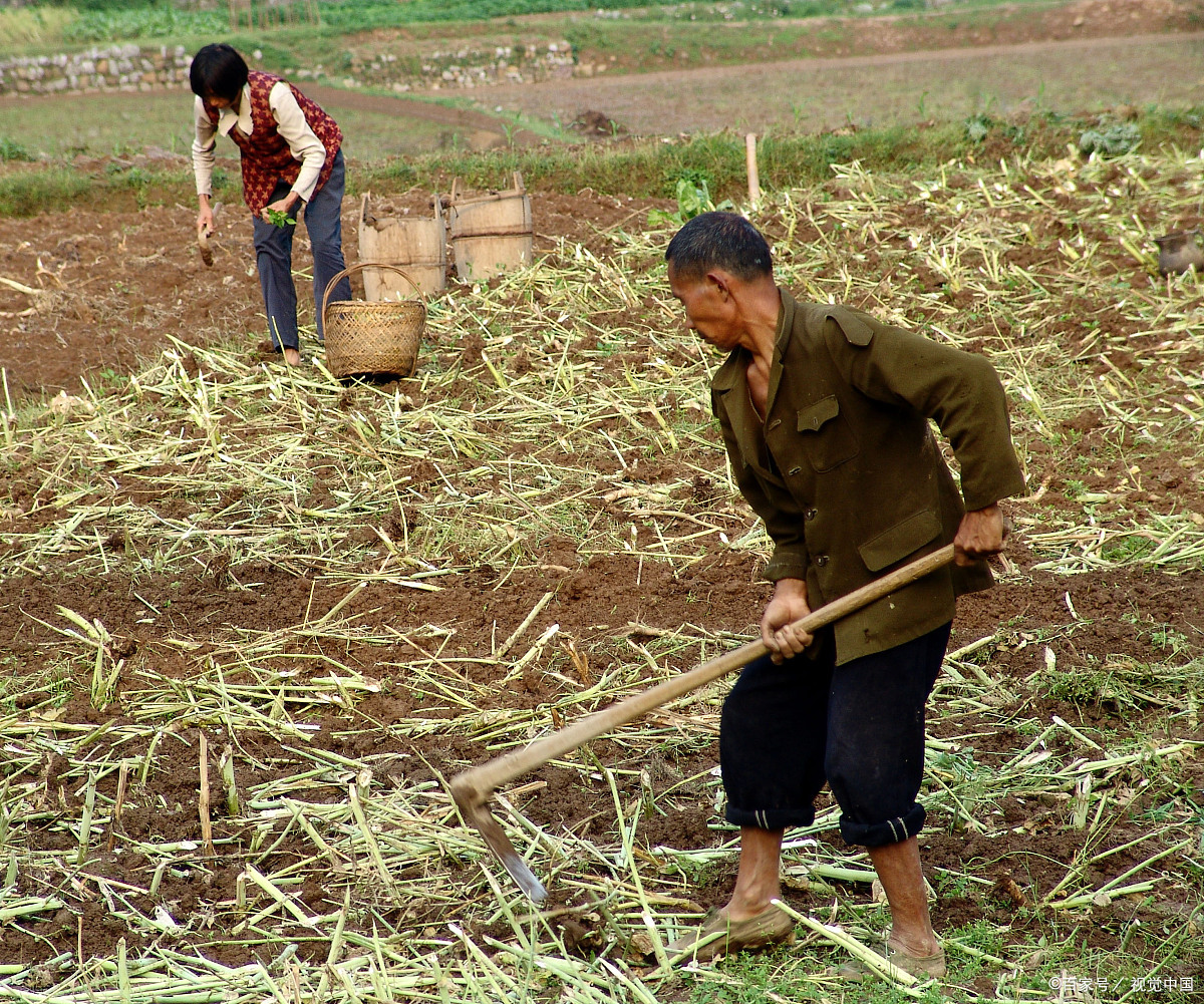45岁农村光棍,拼命挣钱娶妻,有人说傻,光棍:没女人夜里睡不着