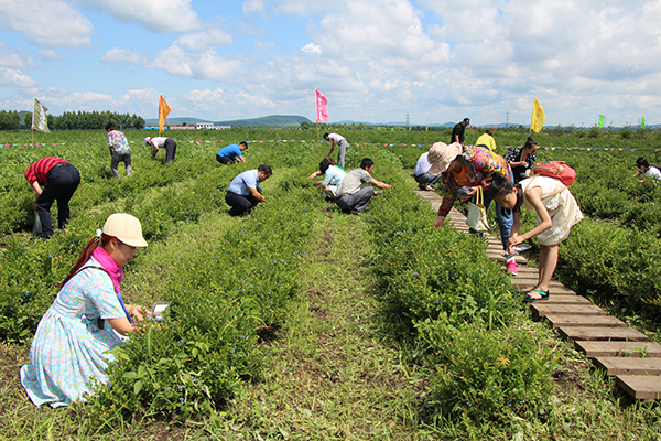 今年夏天去哪涼快？7月11日農(nóng)業(yè)農(nóng)村部將給您拉個(gè)單子