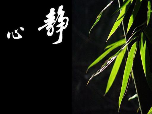 淡泊明志,宁静致远