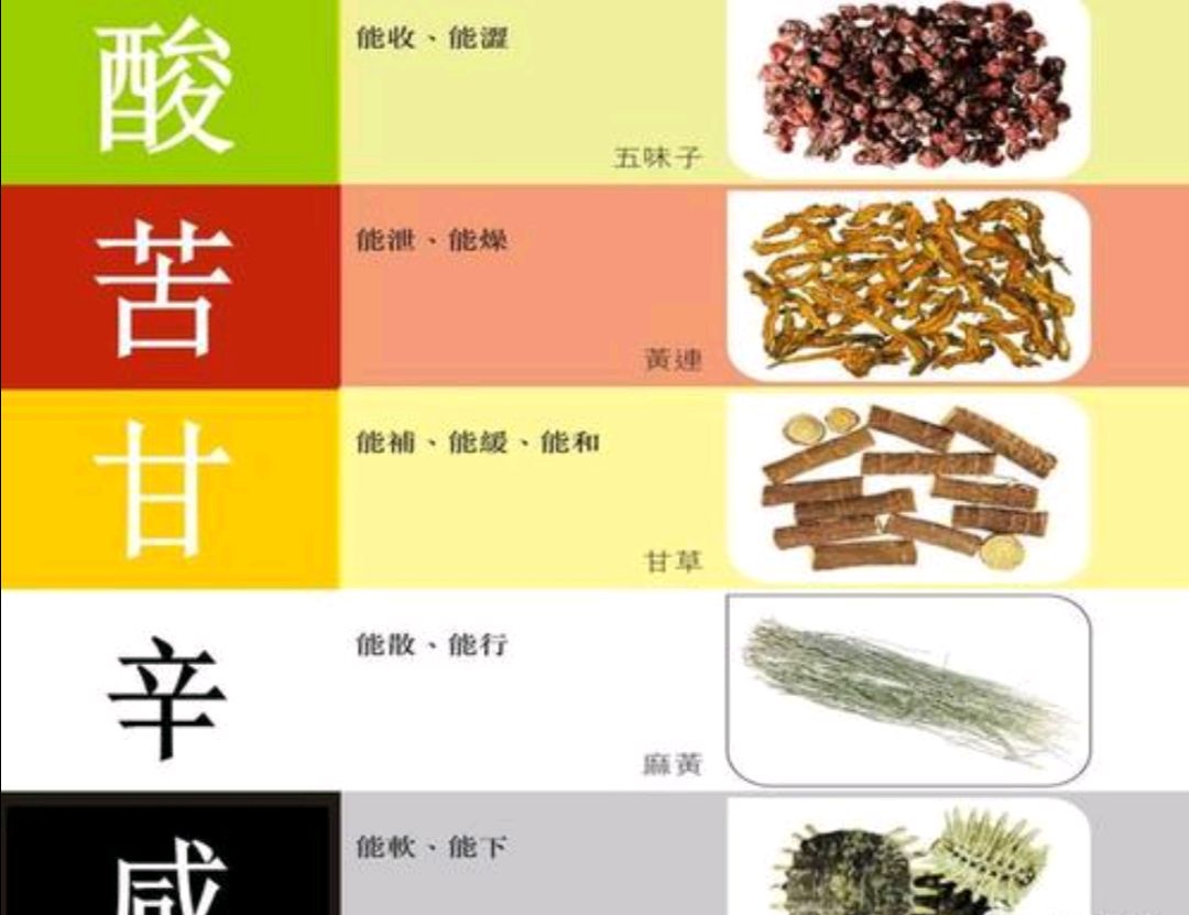 黄帝内经关于饮食五味对五脏影响的解读