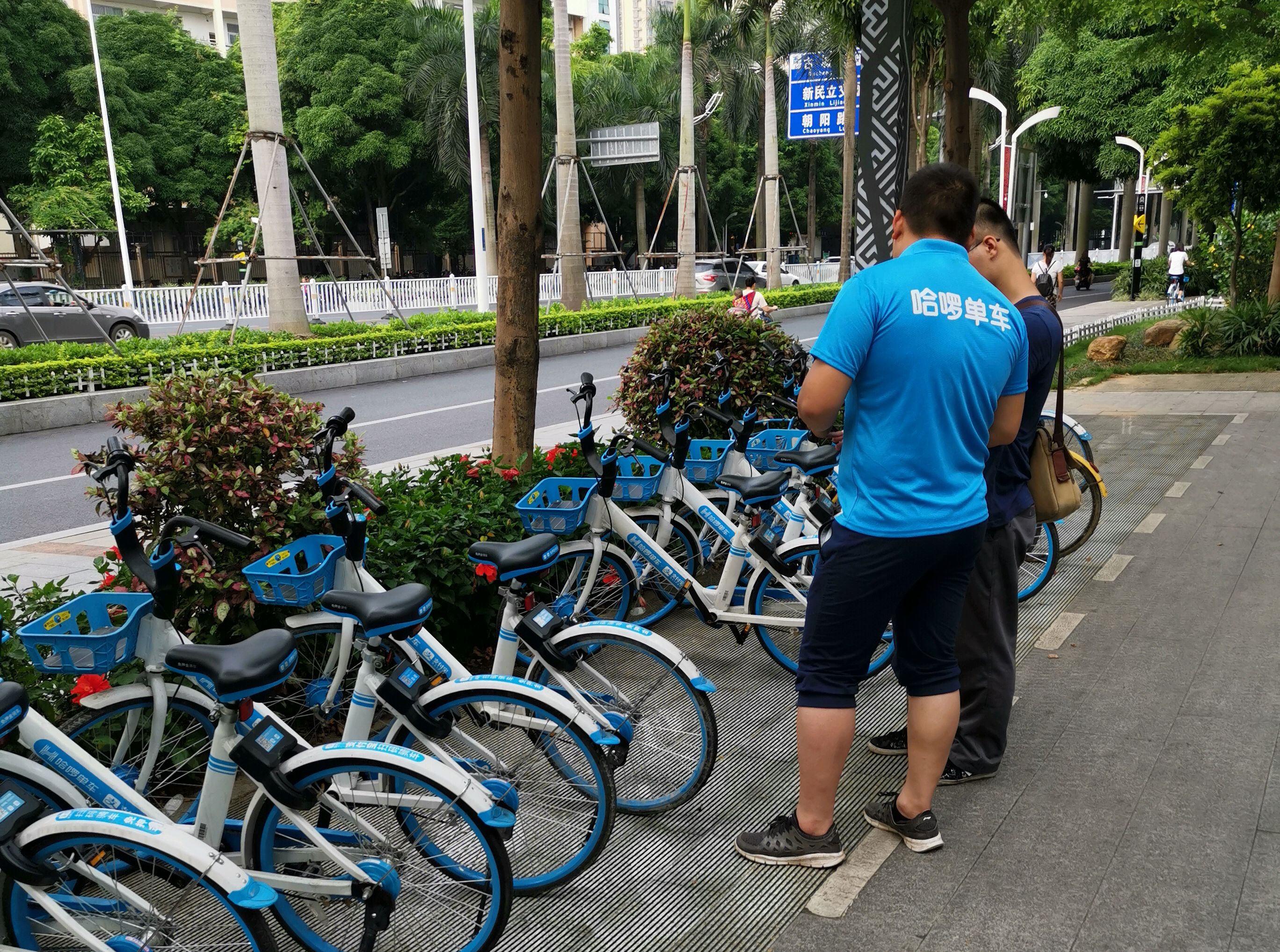 广西南宁又现共享单车密集投放,3天后少人骑行