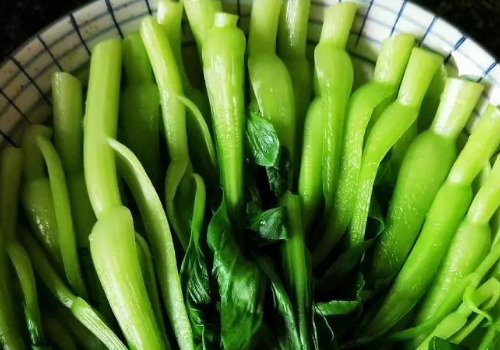 铁锅中的油青菜,装入盘中,锅中并没有剩下多余的油水