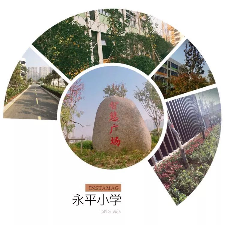 溧阳永平小学:用智慧书写永平奋进之笔