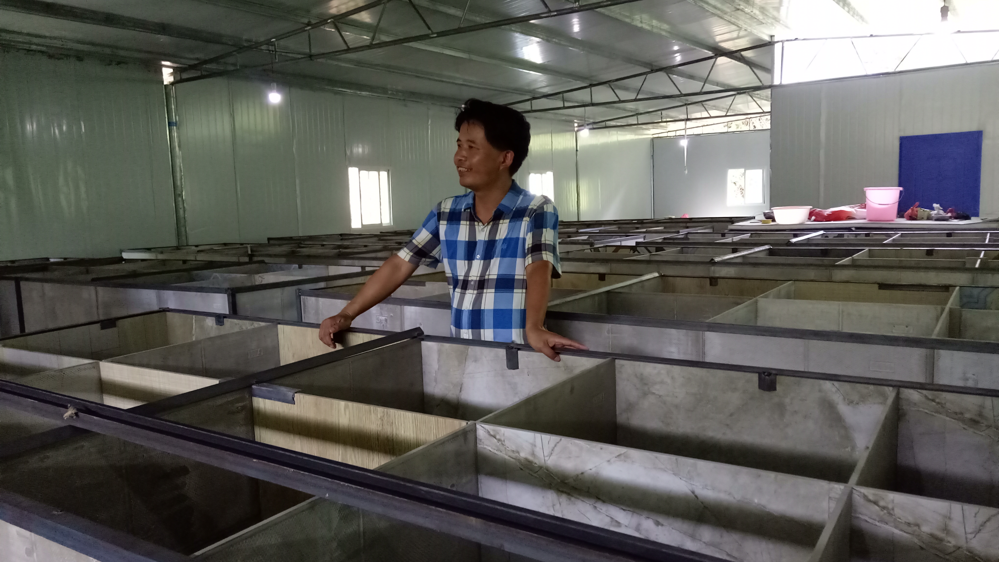 竹鼠养殖,购入竹鼠苗后十日内管理模式,年赚几十万