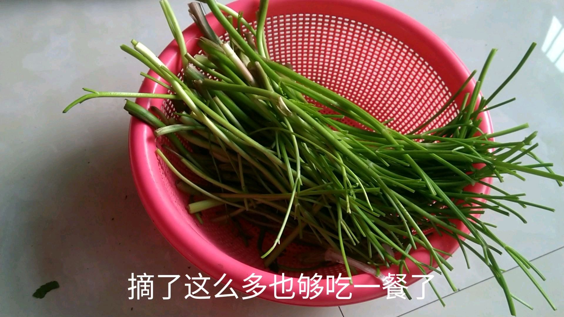 河边摘回来的野菜,没想到这么好吃,看看你那里有没有