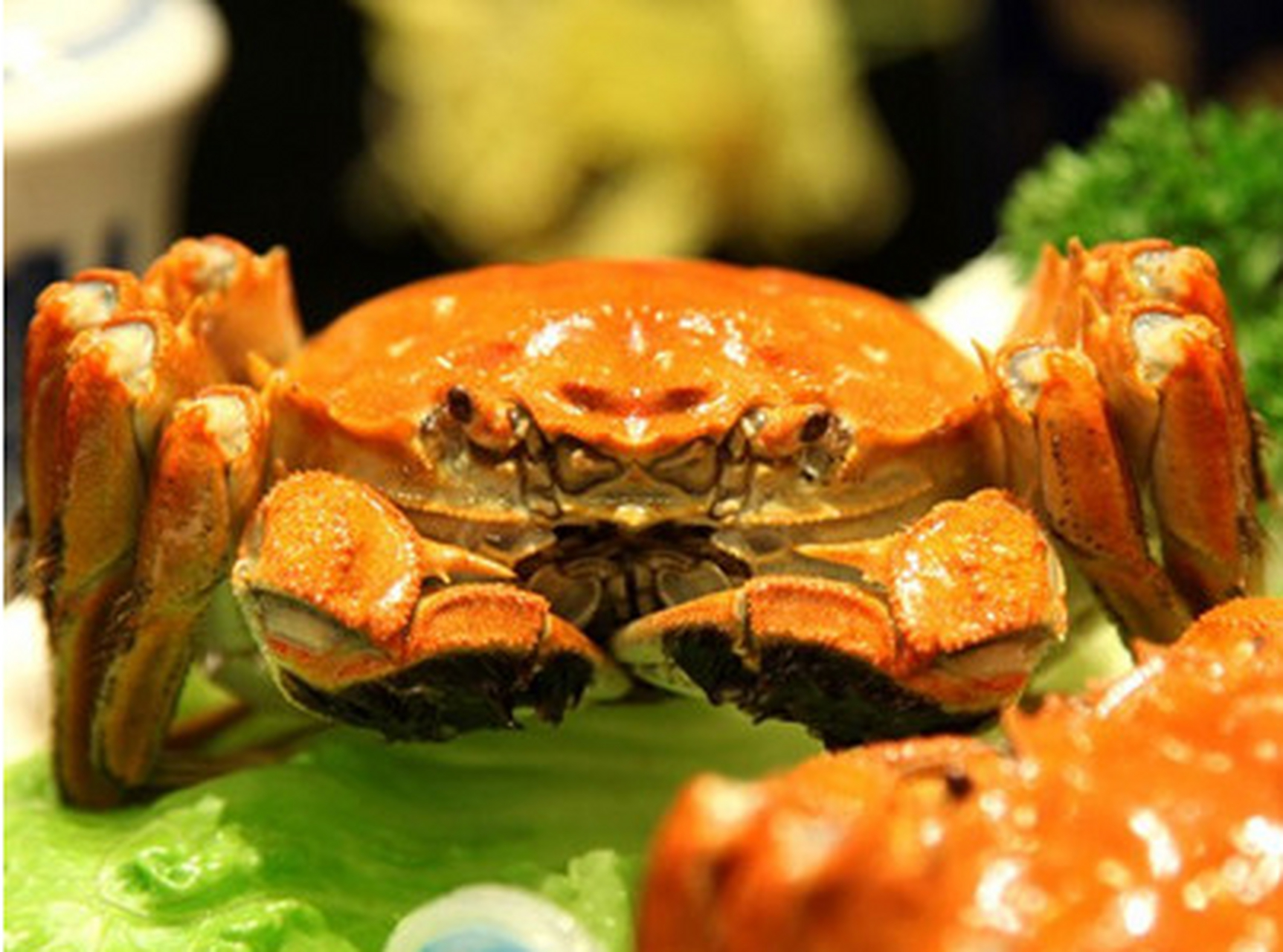 城市身边事#【铜陵美食】枞阳大闸蟹:枞阳白荡湖大闸蟹以其个大,上适