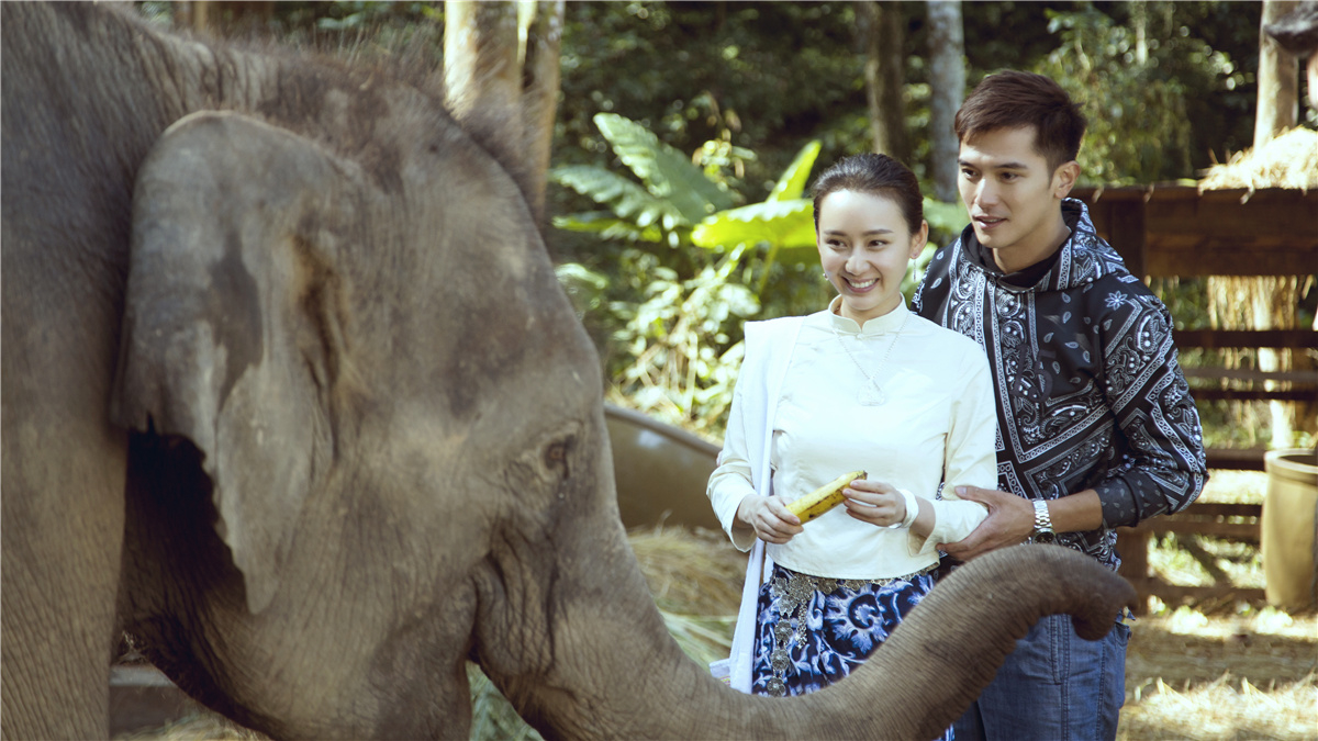 《让我听懂你的语言》完美收官 陆怡璇邱泽喜获完美爱情