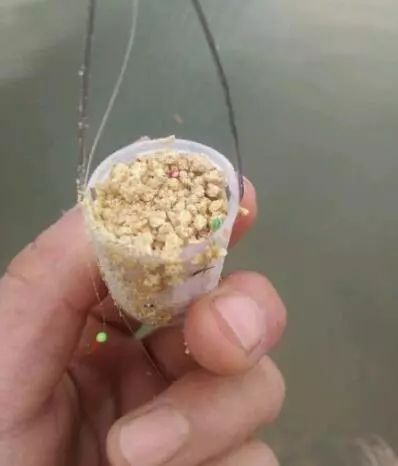 1小时3斤白条是怎么钓的?学会这种钓法,数123就上鱼!