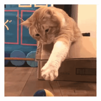 喵星人的表情包吐出了当代成年人生活的心酸