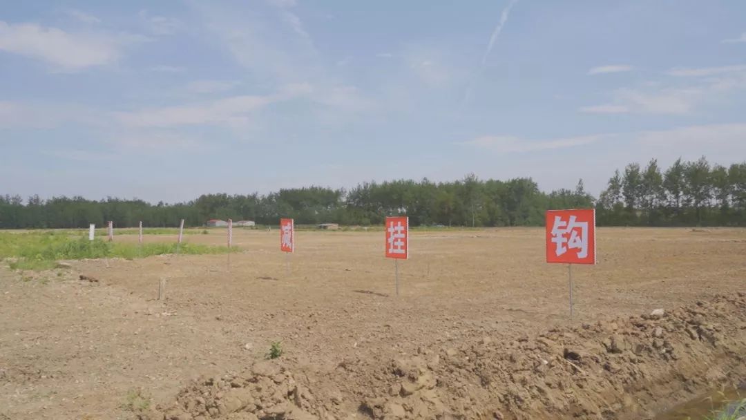 新店国土资源所:土地增减挂钩"增"出乡村振兴底气