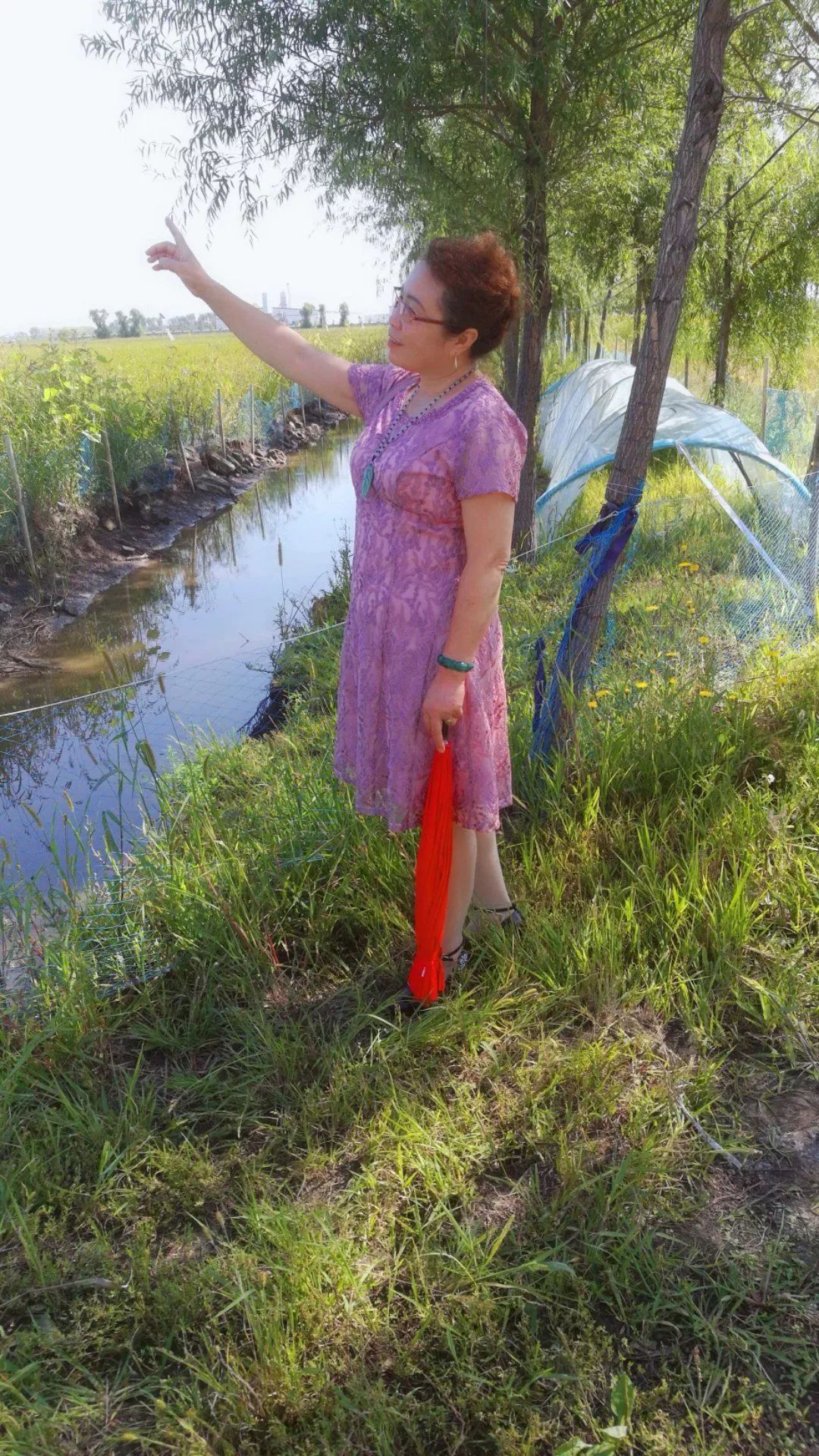 「古韵新风」商丽萍:七绝 咏香雪兰(外五首)