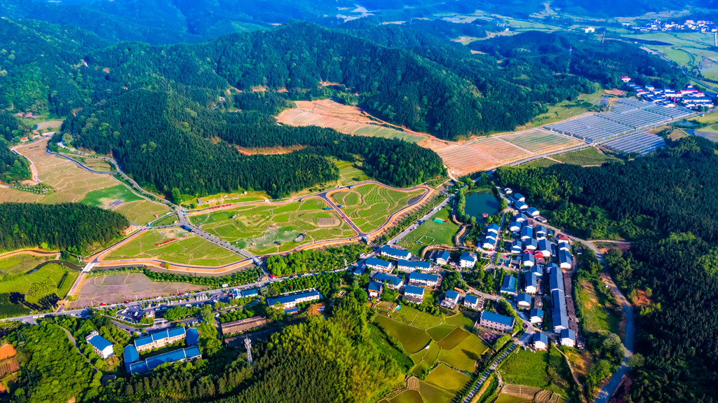 新余市良山镇下保村的风景