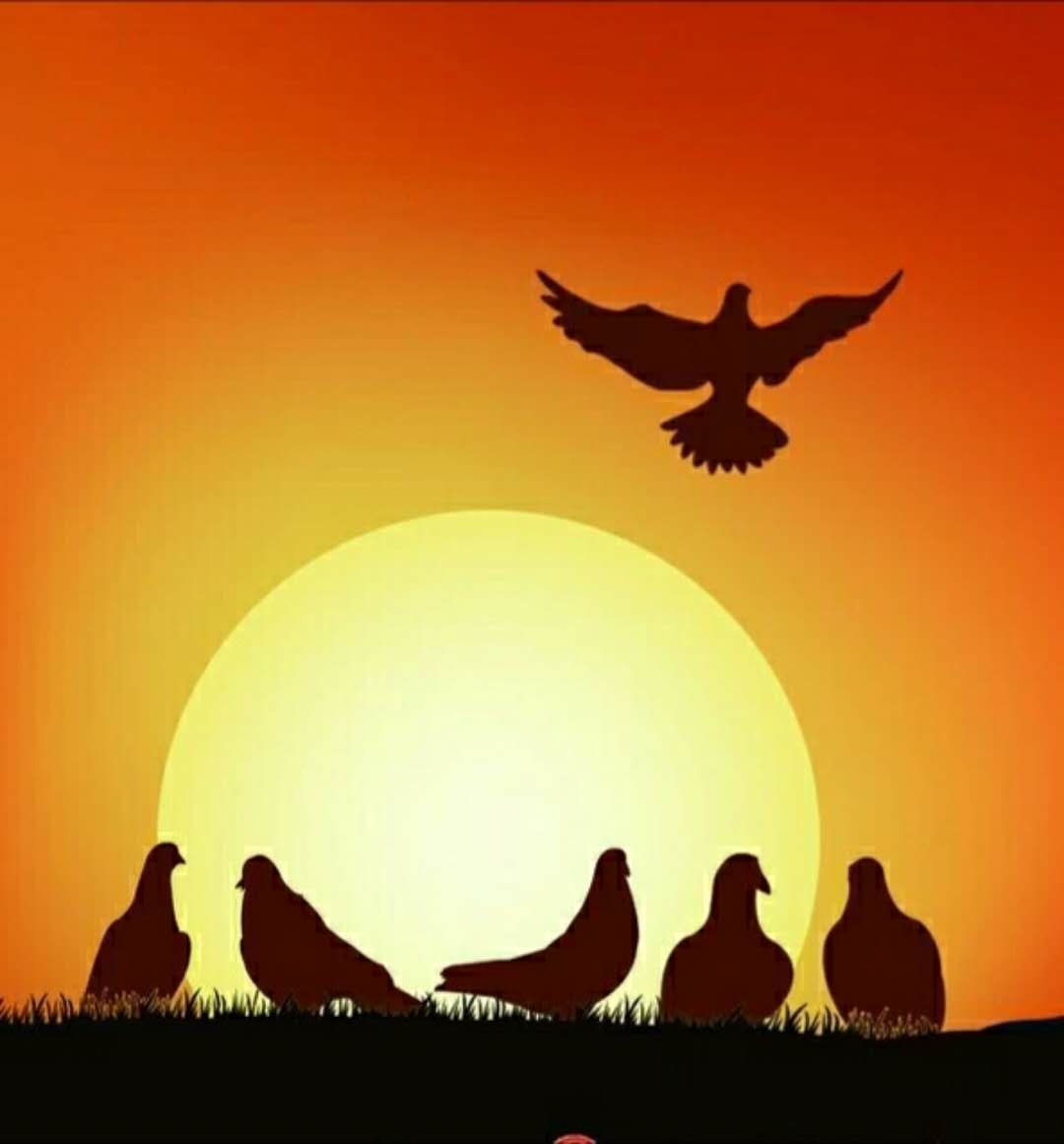 朝阳从东方升起,散文诗