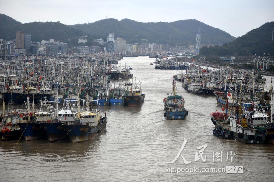 来自东海海域的10000多艘生产渔船停靠在舟山市普陀区沈家门渔港避寒