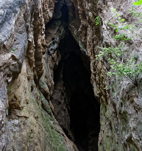 这座因山鸟宿栖而得名的山洞据说曾野鸽成群,今却难觅踪影?