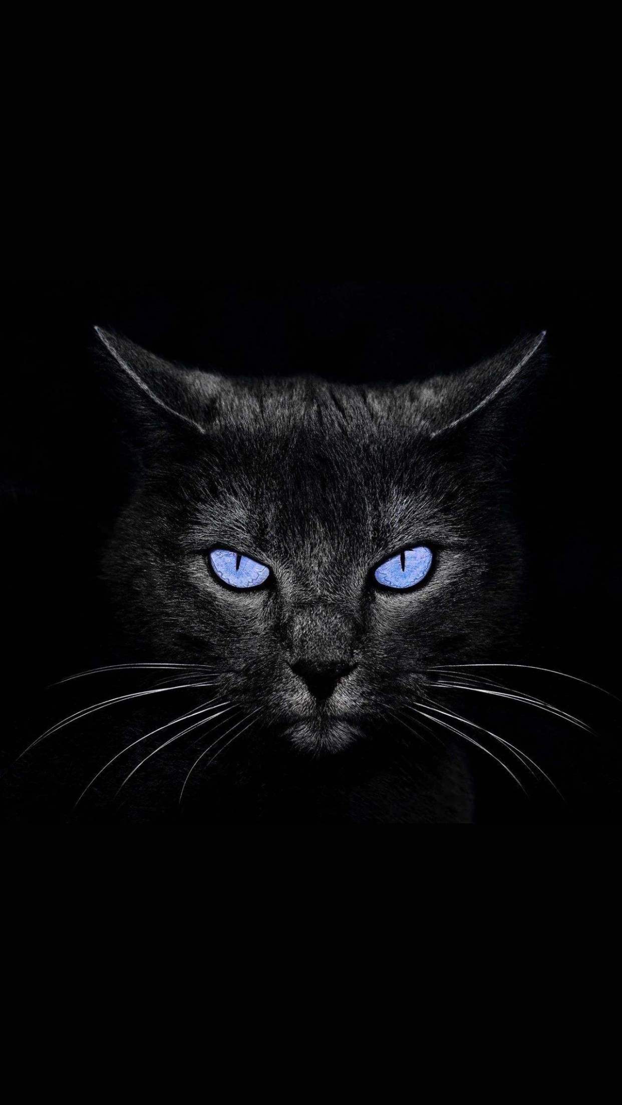 苹果睁眼壁纸大全 iphone开屏眨眼壁纸高清无水印下载 太酷了!