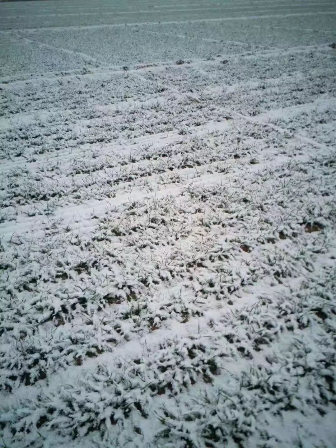邢台东庞煤矿 (来自网友:梓轩墨墨)