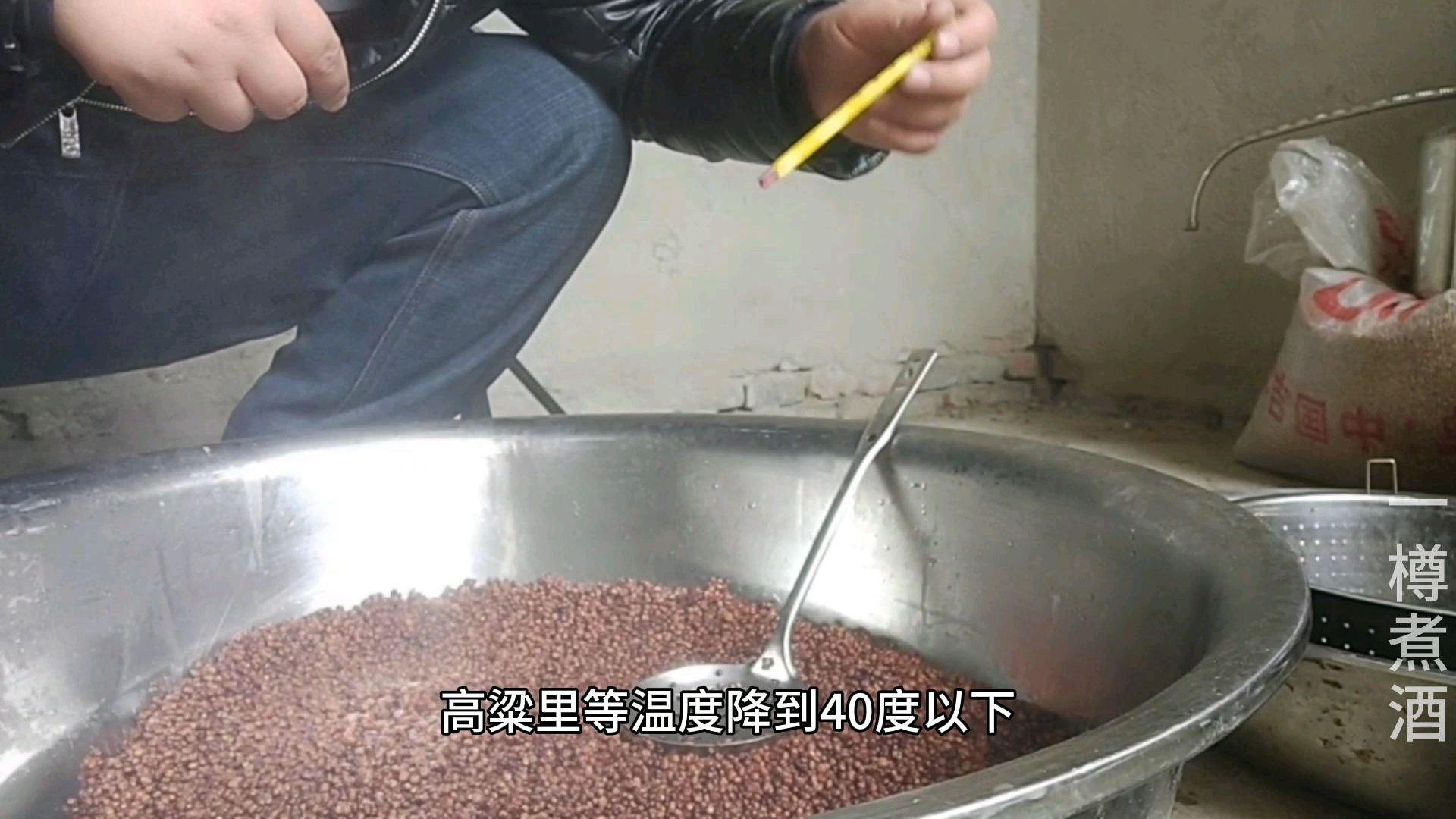 自己在家酿酒,新年第一次蒸煮高粱,用高压锅轻松糊化高粱