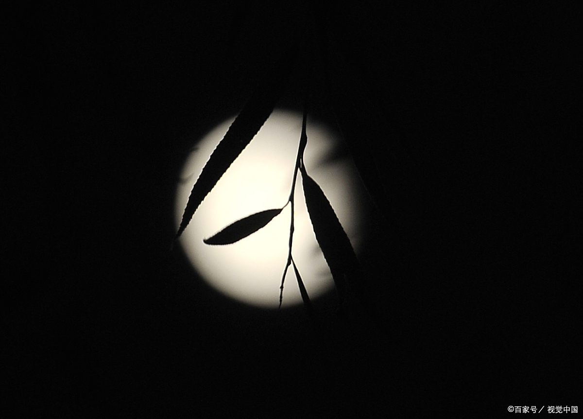 缺月近禅(随想录)