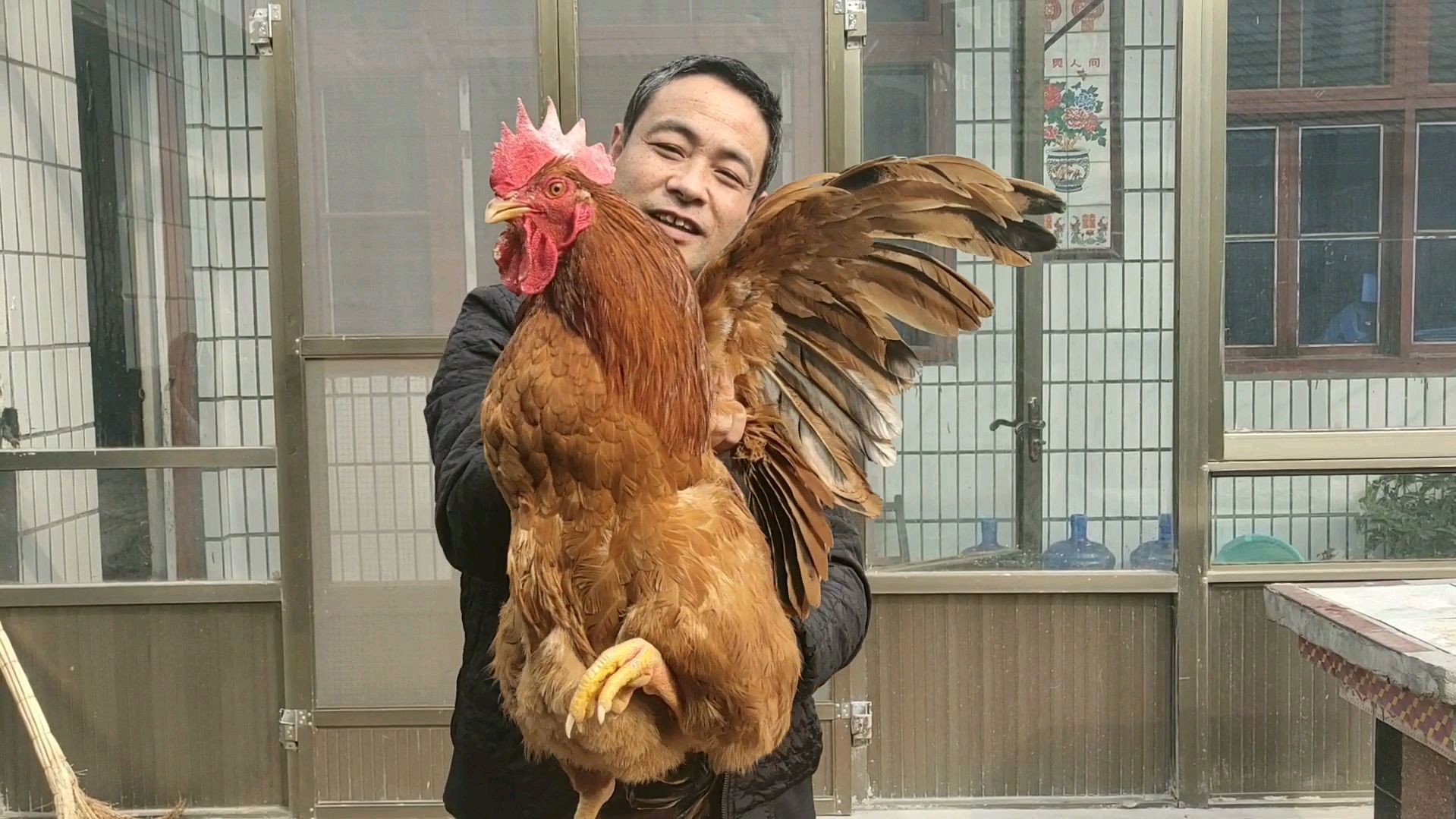 “生炒小公鸡”的民间传统做法,2个窍门,比炒鸡店好吃