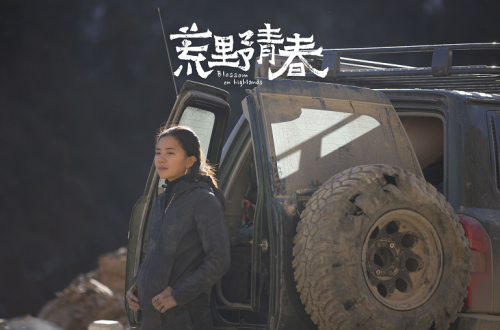 《荒野青春》