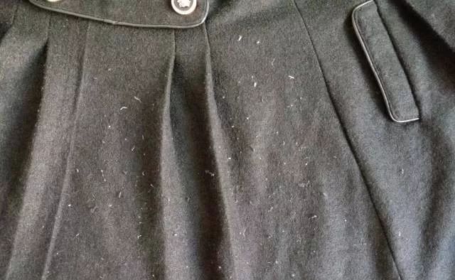 「生活锦囊」还在用胶带给衣服粘毛?你out啦,这个新方法轻松搞定!