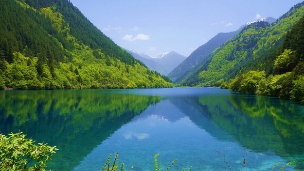 属龙的人4号开始,抓住机会,财旺盛万事兴,富贵有财,随着时至运来,不久