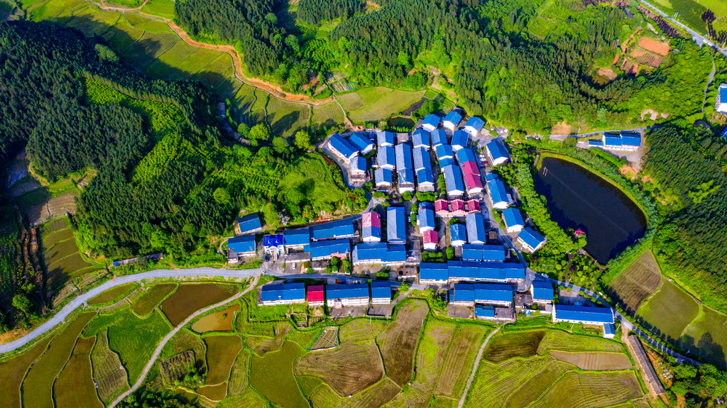 新余市良山镇下保村的风景